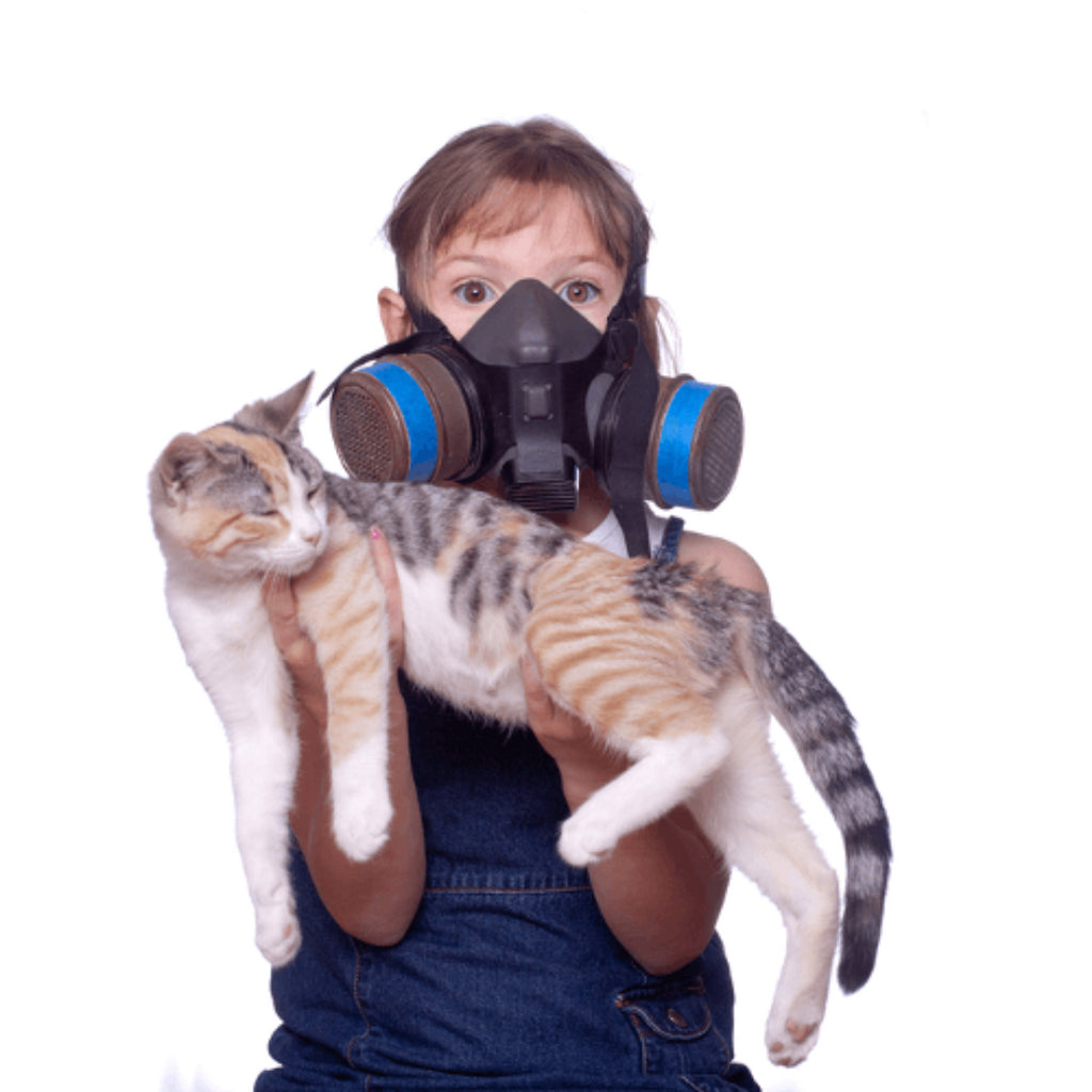 A Cat Lover's Guide to Coping with Cat Allergies